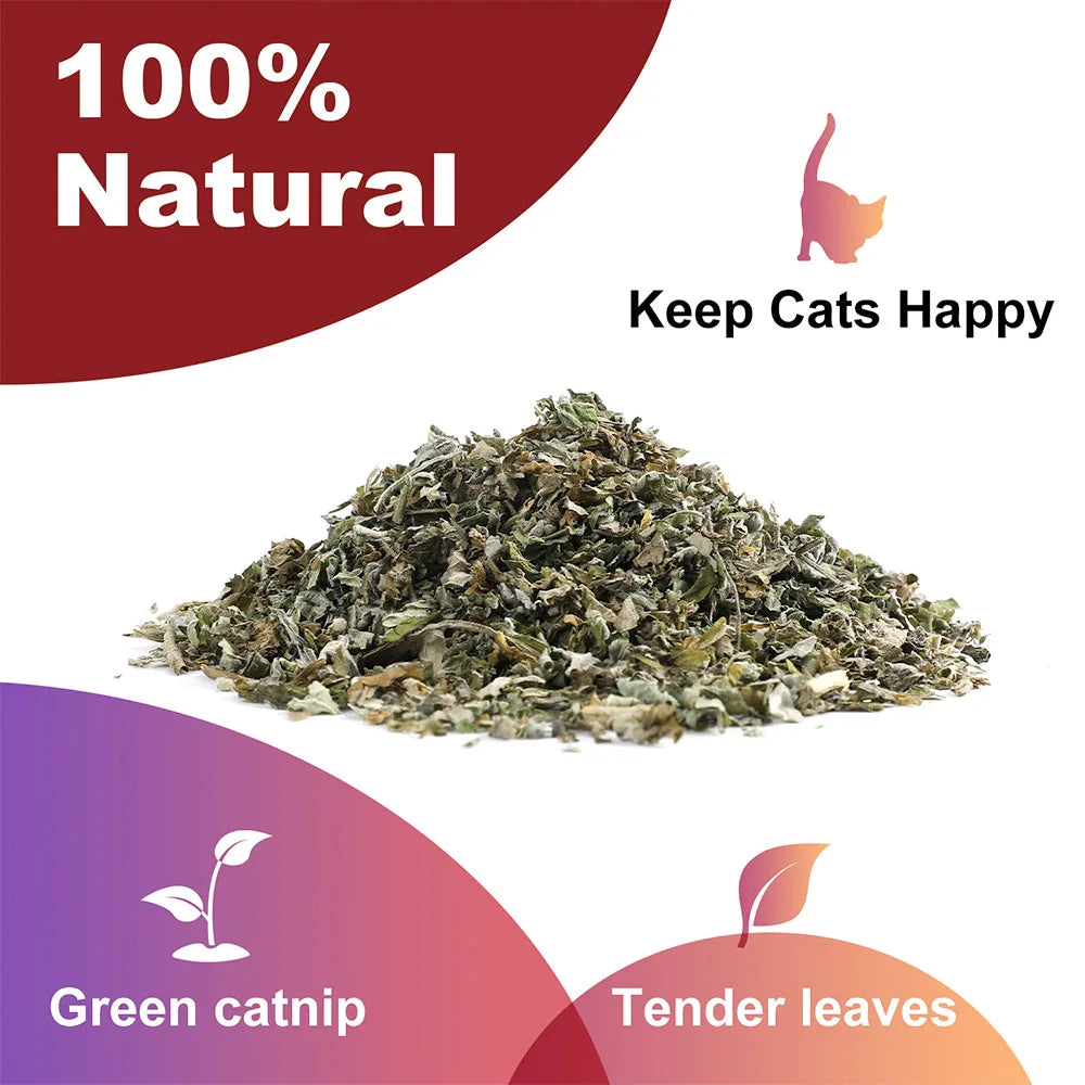 Pet's Cat Premium Catnip-20g Jar of High Potency Catnip,100% Natural & Chemical-Free,Safe for All Cat Ages