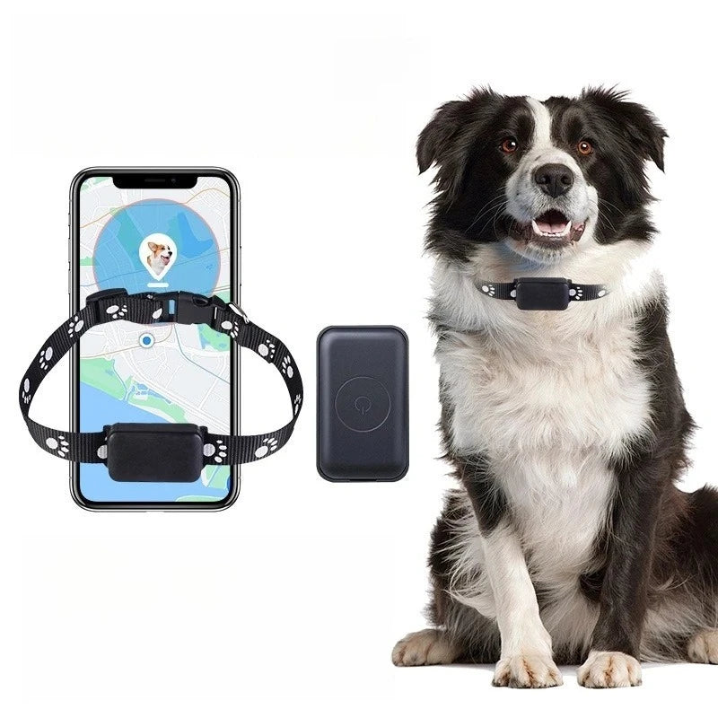 Pet GPS Tracker RealTime Tracking App controlled for Dogs/Cats