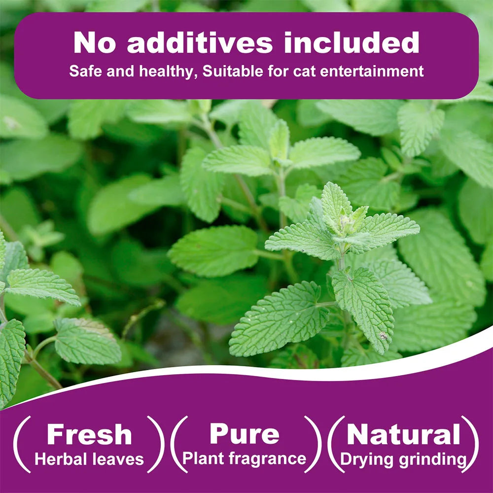 Pet's Cat Premium Catnip-20g Jar of High Potency Catnip,100% Natural & Chemical-Free,Safe for All Cat Ages