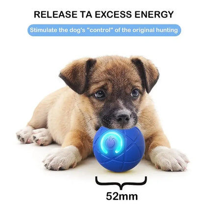 Dog Toy Ball Interactive Rolling Ball Auto Moving Dog Toy