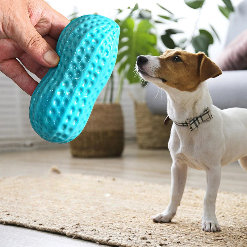Dog Chewing Toy Simulation Peanut Squeaking Plaything Grinding Teeth Cleaning Anti Bite Rubber