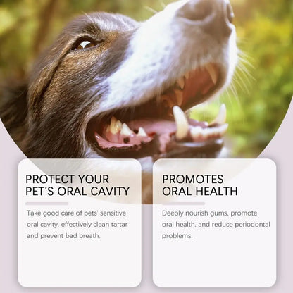 Pet Teeth Cleaning Pen Pet Dental Pen dog Toothbrush Pen Fresh Breath Tooth Whitening