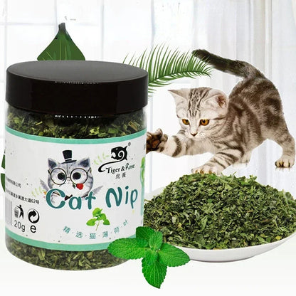 Pet's Cat Premium Catnip-20g Jar of High Potency Catnip,100% Natural & Chemical-Free,Safe for All Cat Ages