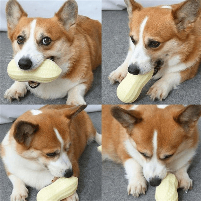 Dog Chewing Toy Simulation Peanut Squeaking Plaything Grinding Teeth Cleaning Anti Bite Rubber