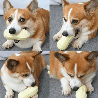 Dog Chewing Toy Simulation Peanut Squeaking Plaything Grinding Teeth Cleaning Anti Bite Rubber