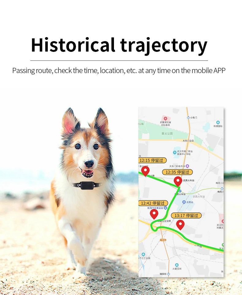 Pet GPS Tracker RealTime Tracking App controlled for Dogs/Cats