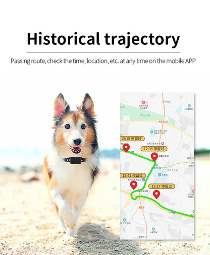 Pet GPS Tracker RealTime Tracking App controlled for Dogs/Cats