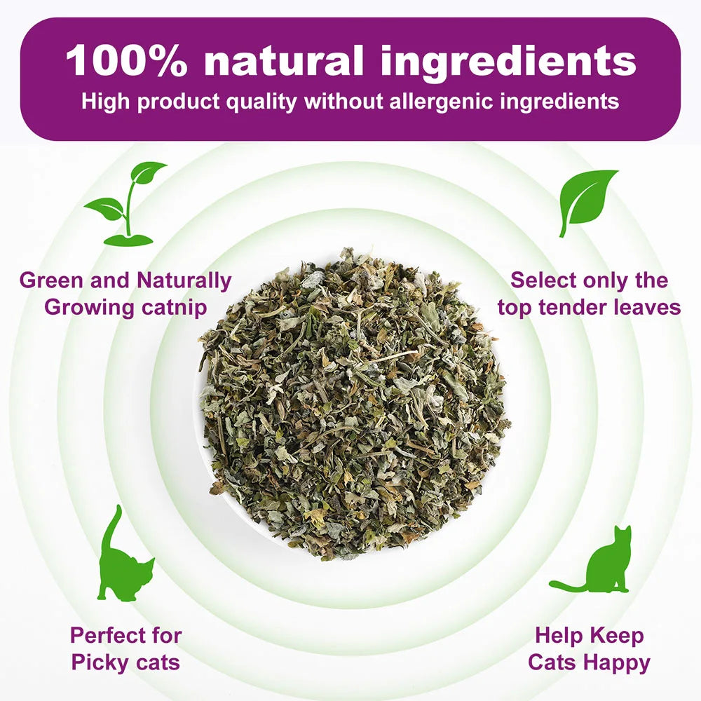 Pet's Cat Premium Catnip-20g Jar of High Potency Catnip,100% Natural & Chemical-Free,Safe for All Cat Ages
